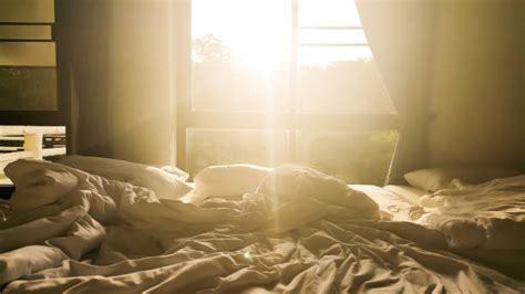 26900 Good Morning Sunshine Stock Photos Pictures And Royalty Free