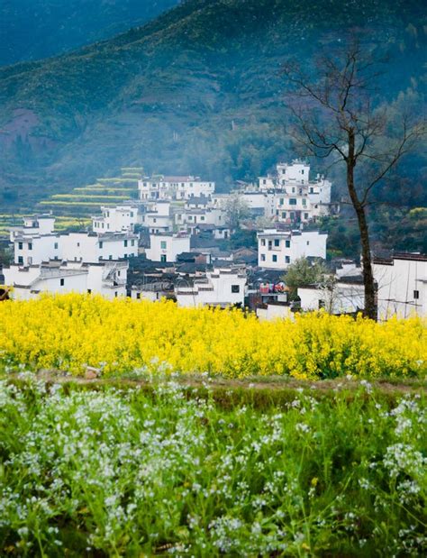 Overrall View Of Rural Landscape In Wuyuan County Jiangxi Province