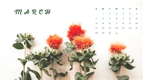 March Minimalist Aesthetic Calendar Wallpaper Desktop Hd 2021 Free