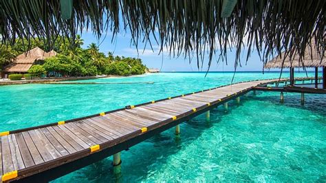 Maldivas Agua Agua Clara Bungalow Tropical Fondo De Pantalla Hd