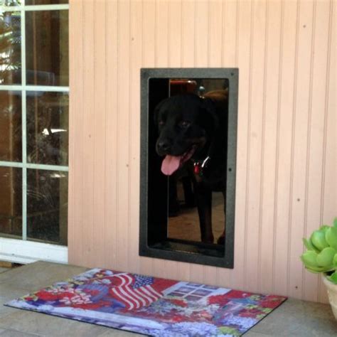 Solo's website does not list a physical address nor can they be found in any local business directories. Doggy Door Pictures, Kitty Pictures - Solo Pet Doors