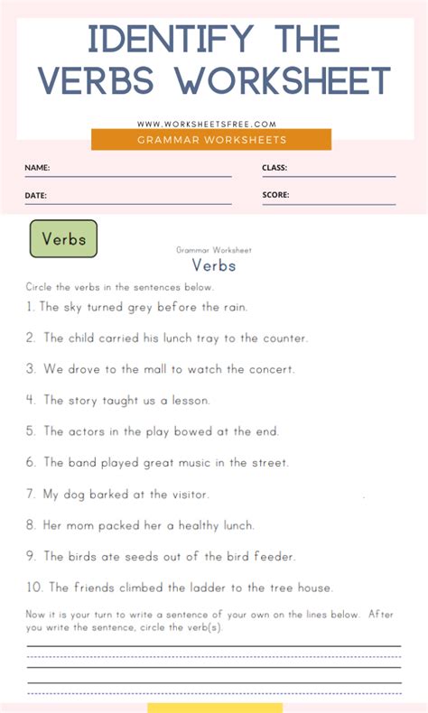 Verb Types Interactive Worksheet Riset