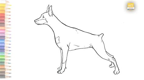 Doberman Dog Outline Drawing 01 How To Draw Doberman Breed Step By