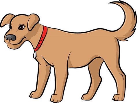 Royalty Free Dog Tail Clip Art Vector Images And Illustrations Istock