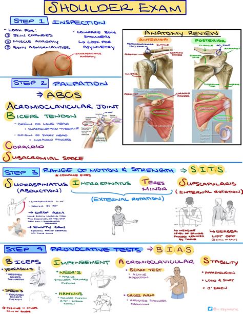 Test Female Shoulder Pain Diagnosis Chart