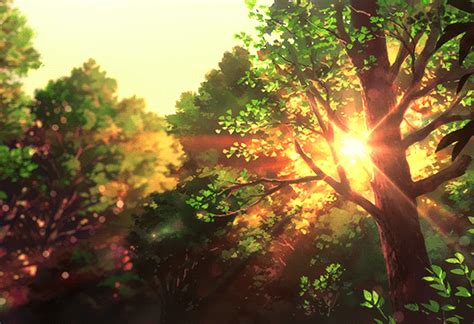 Anime Scenery Header Image Anime Scenery Celestial Sunset S