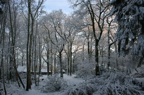 The Magical Winter Wood Fairy Sanctuary Near York Northwood Trail