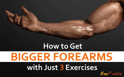 How To Get Bigger Forearms 3 Exercises For Massive Results Beefiddle