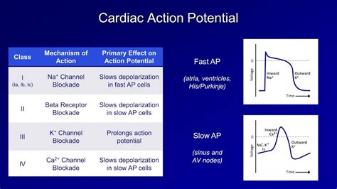 Antiarrhythmics Lesson 1 An Introduction Youtube