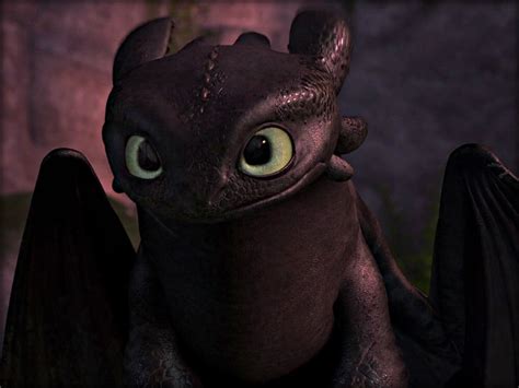 Toothless How To Train Your Dragon Wallpaper 32987241 Fanpop