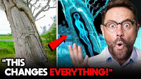 Sciences Best Kept Secrets 10 Incredible Discoveries From 2023 Youtube