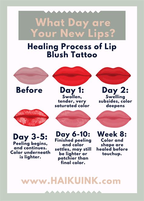 Permanent Makeup Lips Healing