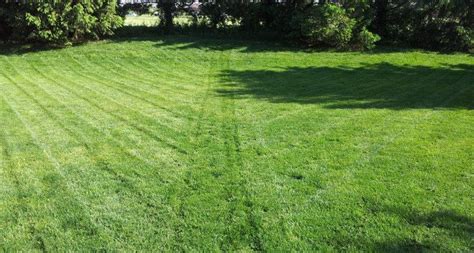 Fun Lawn Mowing Patterns Takes All Kinds Blog Mark Kelseybash Ranch