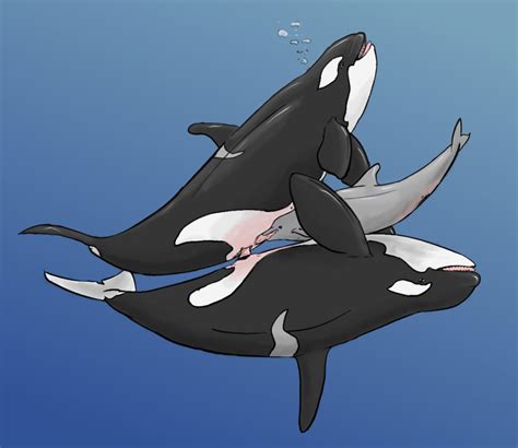 Rule 34 2008 Anatomically Correct Cetacean Dolorcin