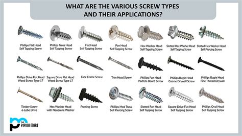 What Are The Various Screw Types And Their Applications
