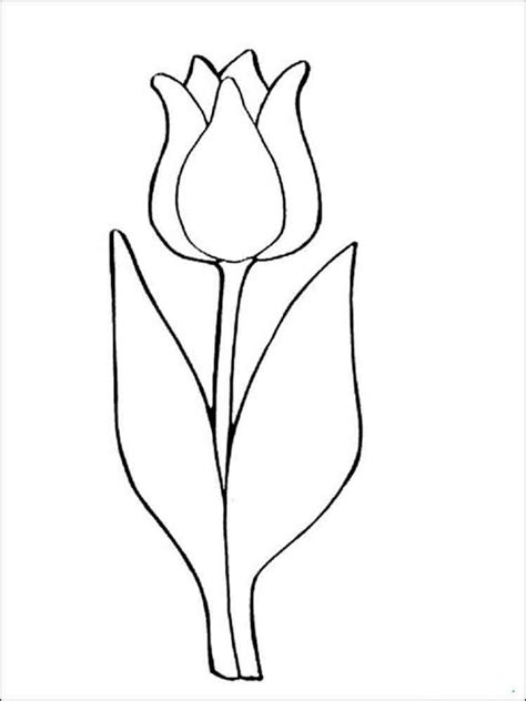 Download 329+ Flowers Tulip Coloring Pages PNG PDF File - Download