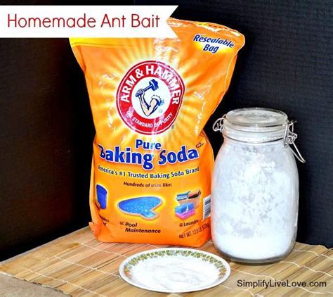 Frugal Friday ~ Effective Homemade Ant Bait Simplify Live Love