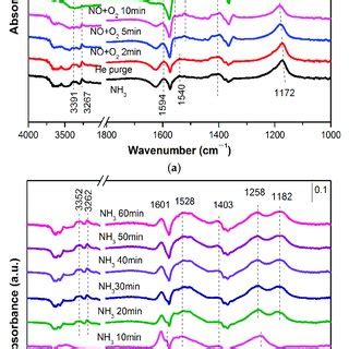 In Situ Diffuse Reflectance Infrared Fourier Transform Spectra DRIFTS