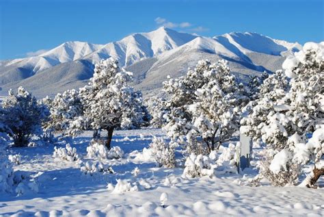 Snow Season Snowy Mountain Photo In Buena Vista Co