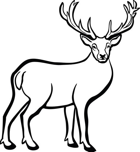 Deer Head Clip Art Free Sketch Coloring Page
