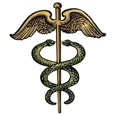The Caduceus Nan Insignia Modeled On Hermes Staff And Used As The