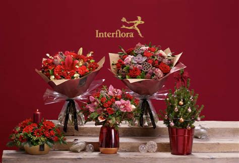Sep 14, 2021 · evelyn weld, 71, of new market, went home to be with the lord tuesday, august 31, 2021. Flowers By Lucy Promo Code / 50 Off Sweet Flower Coupon ...