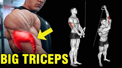How To Outer Triceps Training Step By Step Tutorial Guide