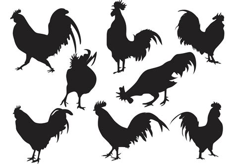 Rooster Silhouette Vector | Rooster silhouette, Silhouette vector, Rooster