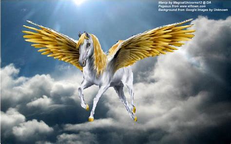 Flying Pegasus Manip By Magicalunicorns12 On Deviantart