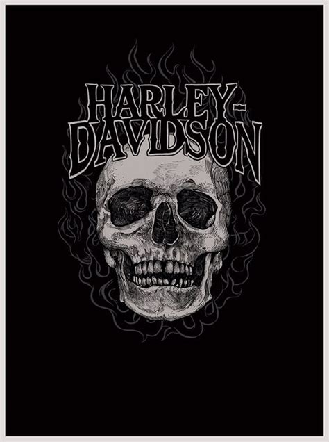 Hd Harley Davidson Skull Harley Davidson Motorcycles Pinterest