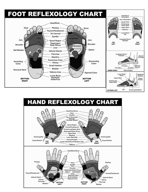 30 Printable Foot Reflexology Charts Points Health Perks