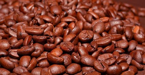 arabika kopi hitam primadona kaya manfaat