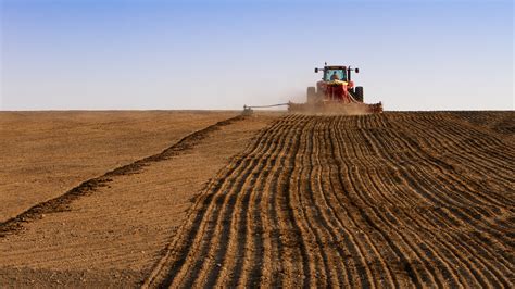 Kazakh Agriculture Attracts 11 Billion In 2019 The Astana Times