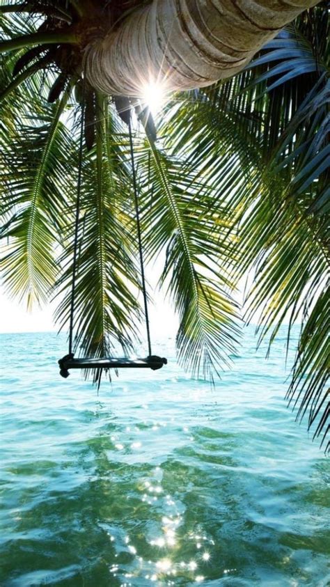 Swing On A Palm Tree Cute Lockscreens Pal Tree Over The Ocean Water