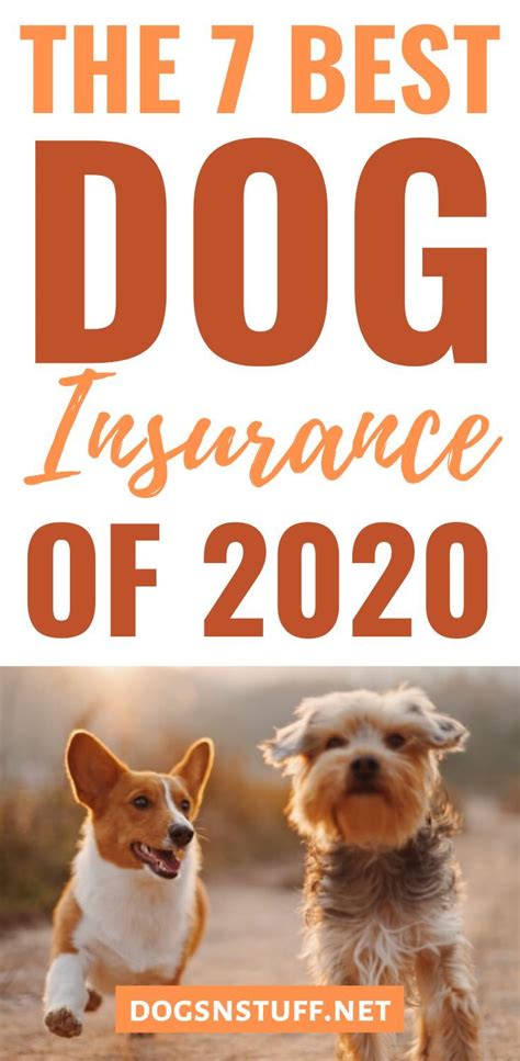 Best Pets Insurance Companies
