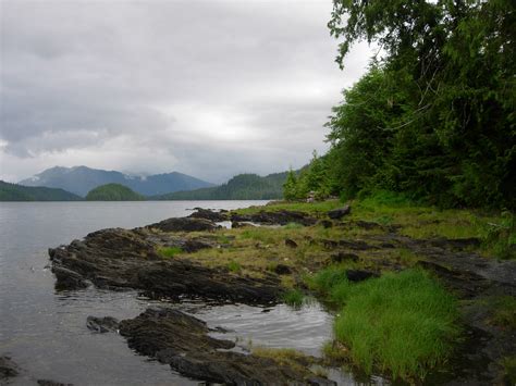 Youth From Across The World Travel To Ketchikan To Clean Up The Tongass