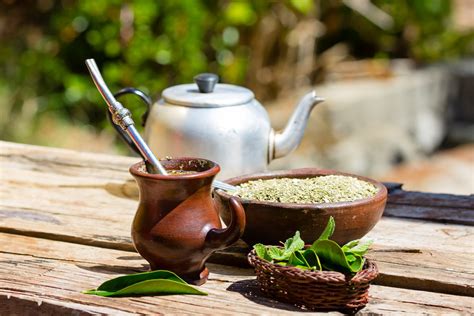 Yerba Mate Healthy Characteristics How To Prepare It And Side Effects