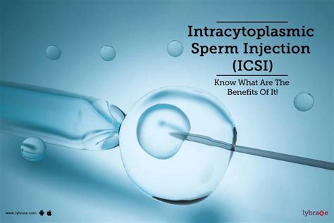 Intracytoplasmic Sperm Injection Icsi Know What Are The Benefits Of It Lybrate