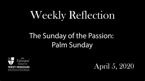 Weekly Reflection Sunday Of The Passion Palm Sunday New Spirit