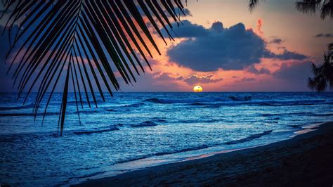 Praia Noite Pôr Do Sol Nuvens Folhas Mar Do Caribe Papéis De
