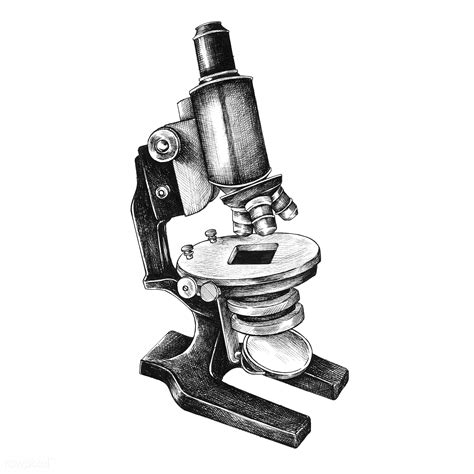 Compound Microscope Drawing Free Download On Clipartmag