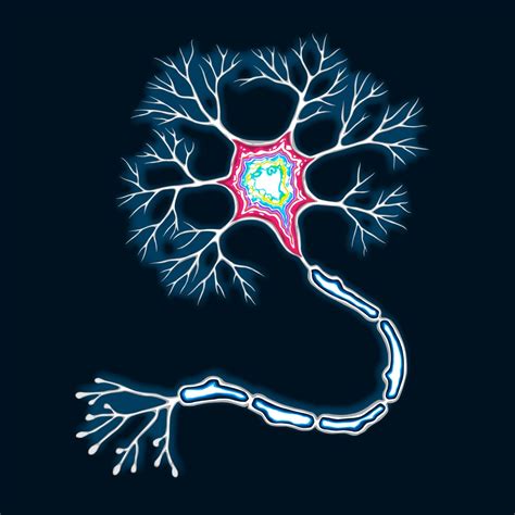 Parkinson's disease affects 1 out of 100 seniors, leading to debilitating motor problems that make life difficult for both the seniors and their caregivers. Alcohol Affects Mitochondria Due to Circadian Clock's ...