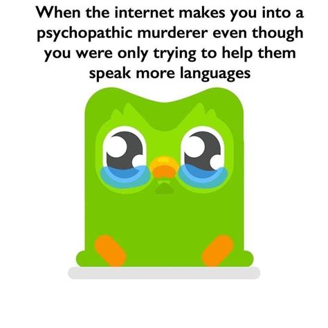 Duolingo Memes Owl
