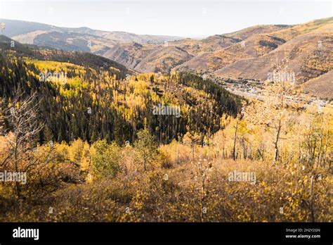 Fall Foliage In Vail Colorado Stock Photo Alamy