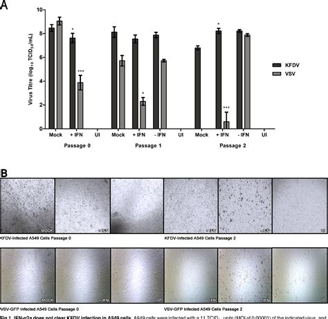 Figure 1 From Limited Effects Of Type I Interferons On Kyasanur Forest