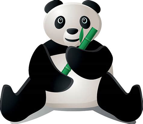 Best Panda Eating Bamboo Illustrations Royalty Free Vector Graphics