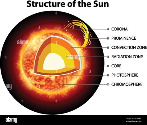 La Estructura Del Sol Ilustración Imagen Vector De Stock Alamy