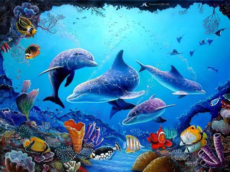 Amazing Dolphin Wallpapers Top Free Amazing Dolphin Backgrounds