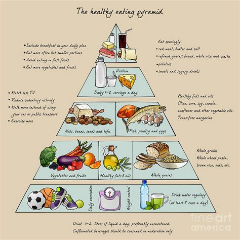 Enjoy a variety of nutritious foods, including: The Healthy Eating Pyramid Colorful Digital Art by Dalmingo