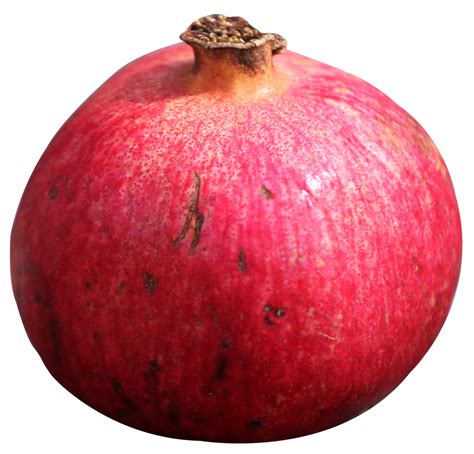 Pomegranate Png Image Purepng Free Transparent Cc0 Png Image Library